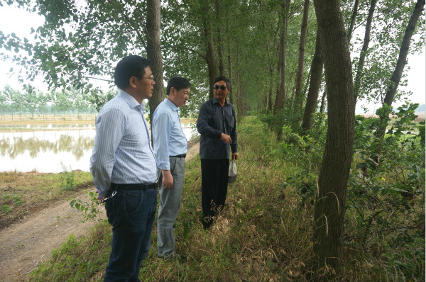 宝应湖:筑牢防洪"圩堤"保安全 - 江苏省宝应湖农场